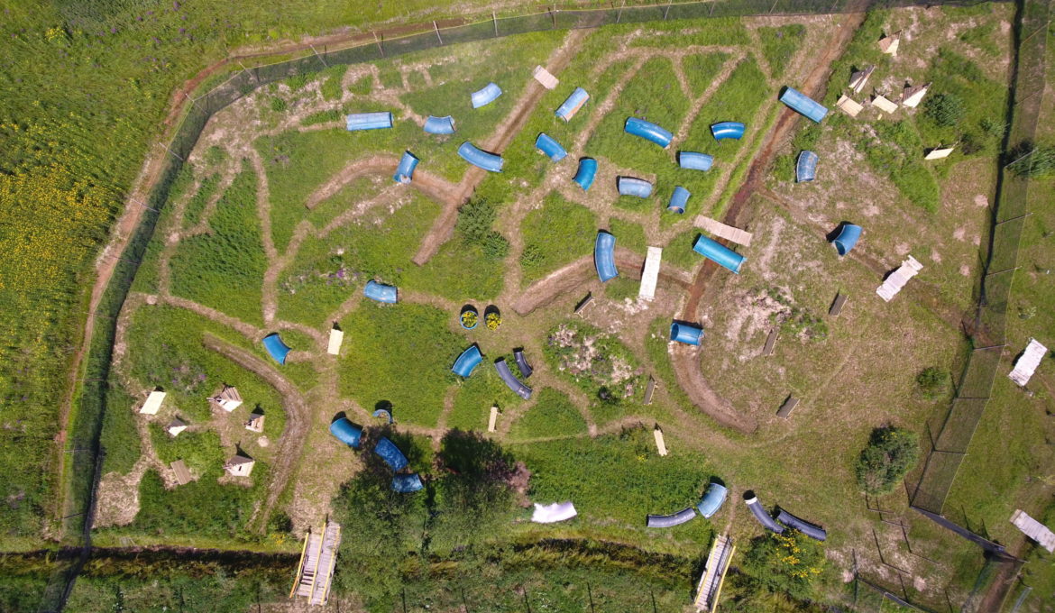 Pole paintballowe: DANDORAN