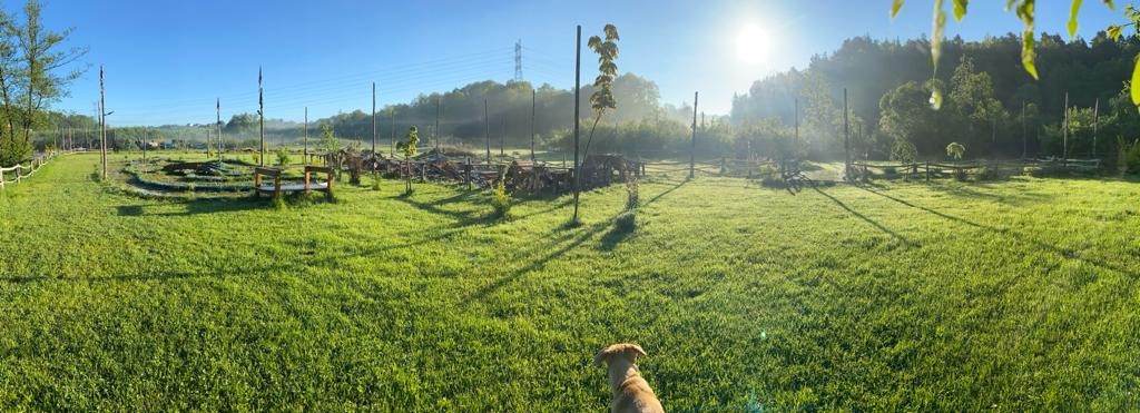 Strefa RC na Arenie Mocy